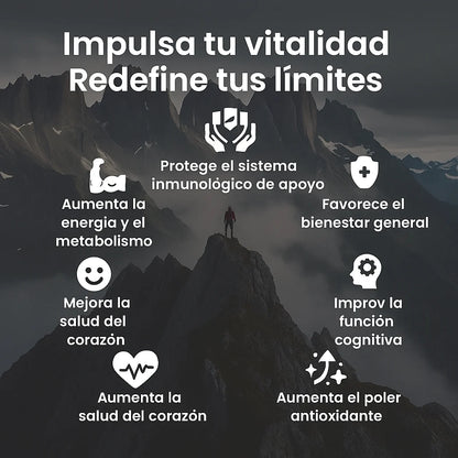 Suplemento Shilajit Ultra Energía Fuerza Potencia Flynew